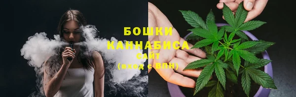 дурь Вяземский