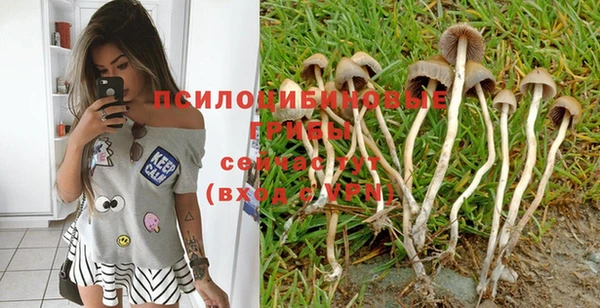дурь Вяземский