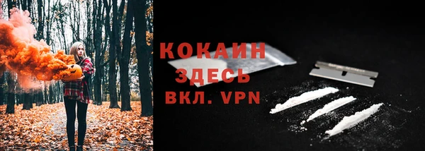 дурь Вяземский