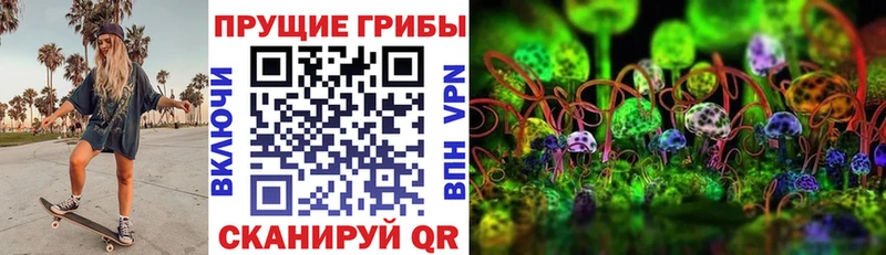 Псилоцибиновые грибы MAGIC MUSHROOMS  Новосибирск 
