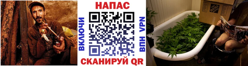 дарнет шоп Новосибирск hydra ССЫЛКА Канабис планчик